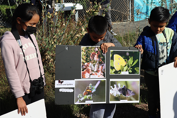 garden presentation